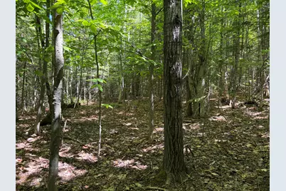 Lot 4 Holley Road, Farmington, ME 04938 - Photo 6