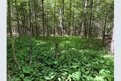 Lot 4 Holley Road, Farmington, ME 04938 - Photo 8