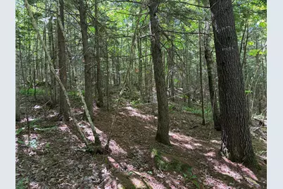 Lot 4 Holley Road, Farmington, ME 04938 - Photo 4