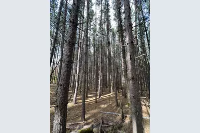 P/O 15 Airport Avenue, Frenchville, ME 04745 - Photo 10
