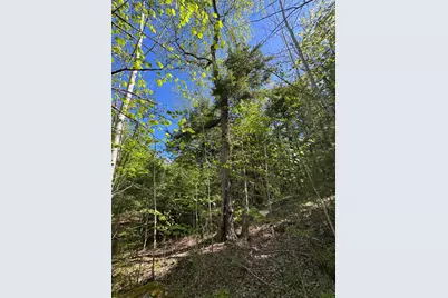 Lot 13 Route 9, Aurora, ME 04428 - Photo 12