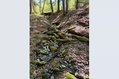 Lot 13 Route 9, Aurora, ME 04428 - Photo 8