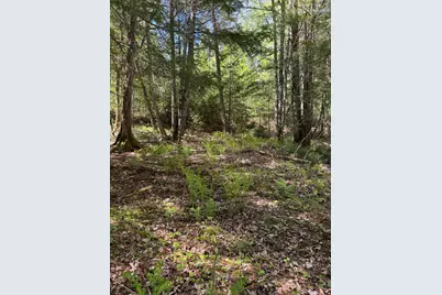 Lot 13 Route 9, Aurora, ME 04428 - Photo 18