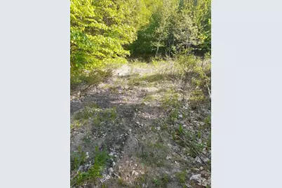 R05-0023 Tripptown Road, Hiram, ME 04041 - Photo 6
