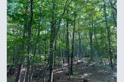 R05-0023 Tripptown Road, Hiram, ME 04041 - Photo 2
