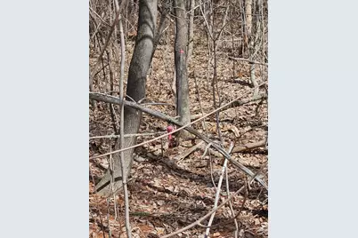 Lot 113-2 Cushman Road, Winslow, ME 04901 - Photo 12