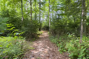 Lot C Middle Dam Rapids, Township C, ME 04216 - Photo 62