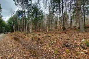 0 Sandy Beach Rd, Danforth, ME 04424 - Photo 1