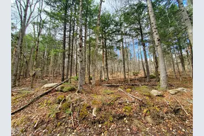 0 Sandy Beach Road, Danforth, ME 04424 - Photo 2