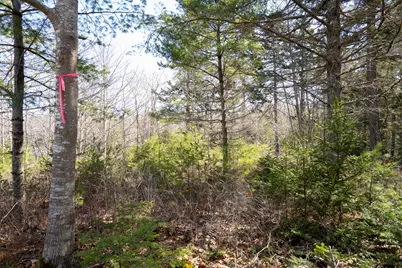 P/O 4-1 Cameron Point Road, Southport, ME 04576 - Photo 6