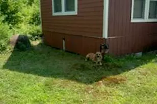 173 N Tamworth Rd, Oxford, ME 04270 - Photo 2