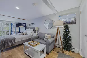 1120 Left Bank, Carrabassett Valley, ME 04947 - Photo 4