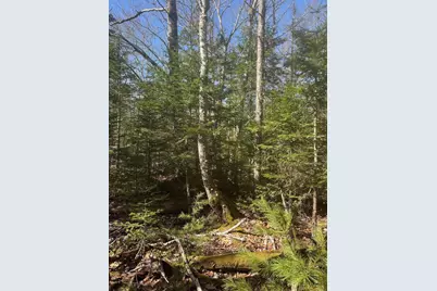 0 Route 1 Route, Gouldsboro, ME 04607 - Photo 6