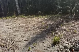 0 Route 1 Rte, Gouldsboro, ME 04607 - Photo 1