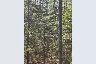 0 Route 1 Route, Gouldsboro, ME 04607 - Photo 8