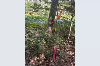 0 Route 1 Route, Gouldsboro, ME 04607 - Photo 10