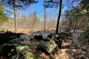 178 Maplecrest Rd, Parsonsfield, ME 04047 - Photo 20