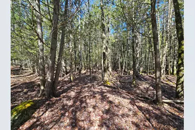 83 Willey District Road, Harrington, ME 04643 - Photo 46