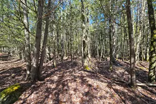 83 Willey District Rd, Harrington, ME 04643 - Photo 46