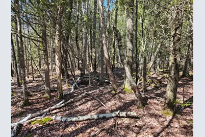83 Willey District Road, Harrington, ME 04643 - Photo 44