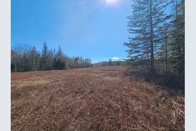 83 Willey District Road, Harrington, ME 04643 - Photo 52