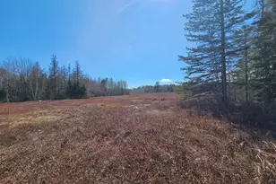 83 Willey District Rd, Harrington, ME 04643 - Photo 52
