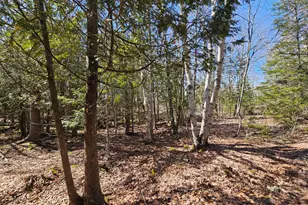 83 Willey District Rd, Harrington, ME 04643 - Photo 6