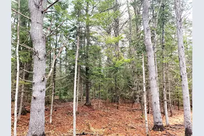 217 Frost Mill Road, Mariaville, ME 04605 - Photo 16