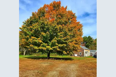 83 Marsh Road, Belfast, ME 04915 - Photo 6