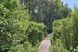 535 Green Lake Rd, Dedham, ME 04429 - Photo 112