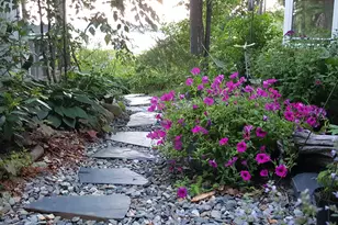 535 Green Lake Rd, Dedham, ME 04429 - Photo 66