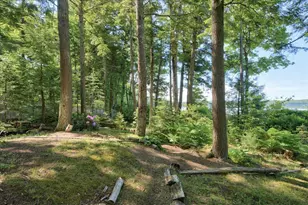 535 Green Lake Rd, Dedham, ME 04429 - Photo 114