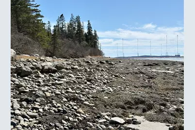 99 Little Machias Road, Cutler, ME 04626 - Photo 16
