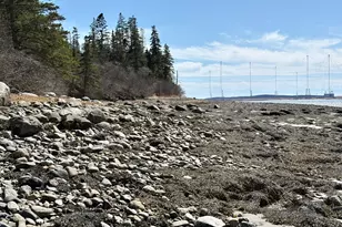 99 Little Machias Rd, Cutler, ME 04626 - Photo 16