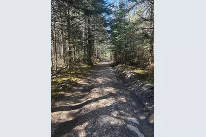 99 Little Machias Road, Cutler, ME 04626 - Photo 12