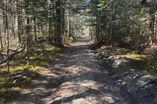 99 Little Machias Rd, Cutler, ME 04626 - Photo 12