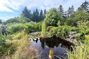 99 Little Machias Rd, Cutler, ME 04626 - Photo 84