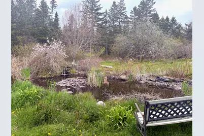 99 Little Machias Road, Cutler, ME 04626 - Photo 14