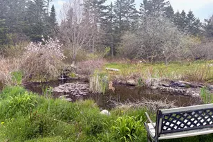 99 Little Machias Rd, Cutler, ME 04626 - Photo 14