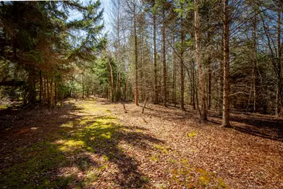 Lot C Lang Road, Saint George, ME 04860 - Photo 22