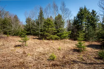 Lot C Lang Road, Saint George, ME 04860 - Photo 14