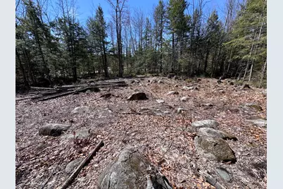 11 Ward Road, Sebago, ME 04029 - Photo 4
