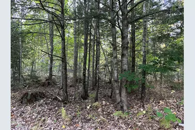 571 Back Road, Skowhegan, ME 04976 - Photo 34