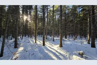 M15L10A Thomas Road, Woodland, ME 04736 - Photo 2