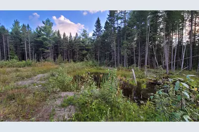 M15L10A Thomas Road, Woodland, ME 04736 - Photo 1