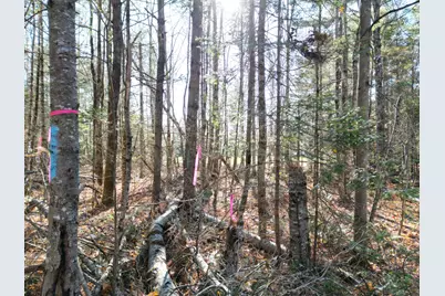 Lot 8A,9A James Way, Lincoln, ME 04457 - Photo 8