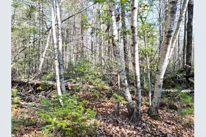 Lot 8A,9A James Way, Lincoln, ME 04457 - Photo 10