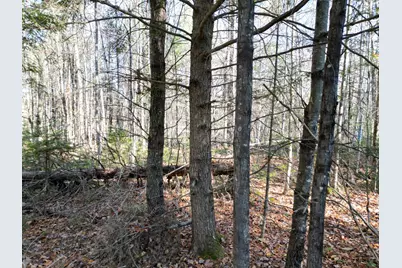 Lot 8A,9A James Way, Lincoln, ME 04457 - Photo 12