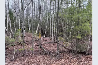 24&36 Wolf Run Trail, Greenbush, ME 04418 - Photo 14