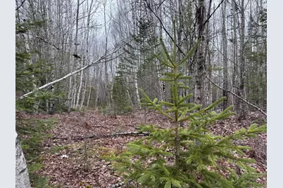 24&36 Wolf Run Trail, Greenbush, ME 04418 - Photo 8